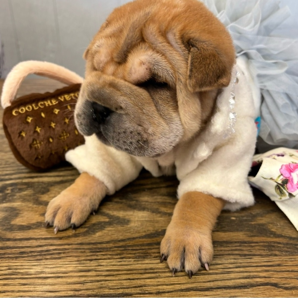 LV inspired dog chew/purse